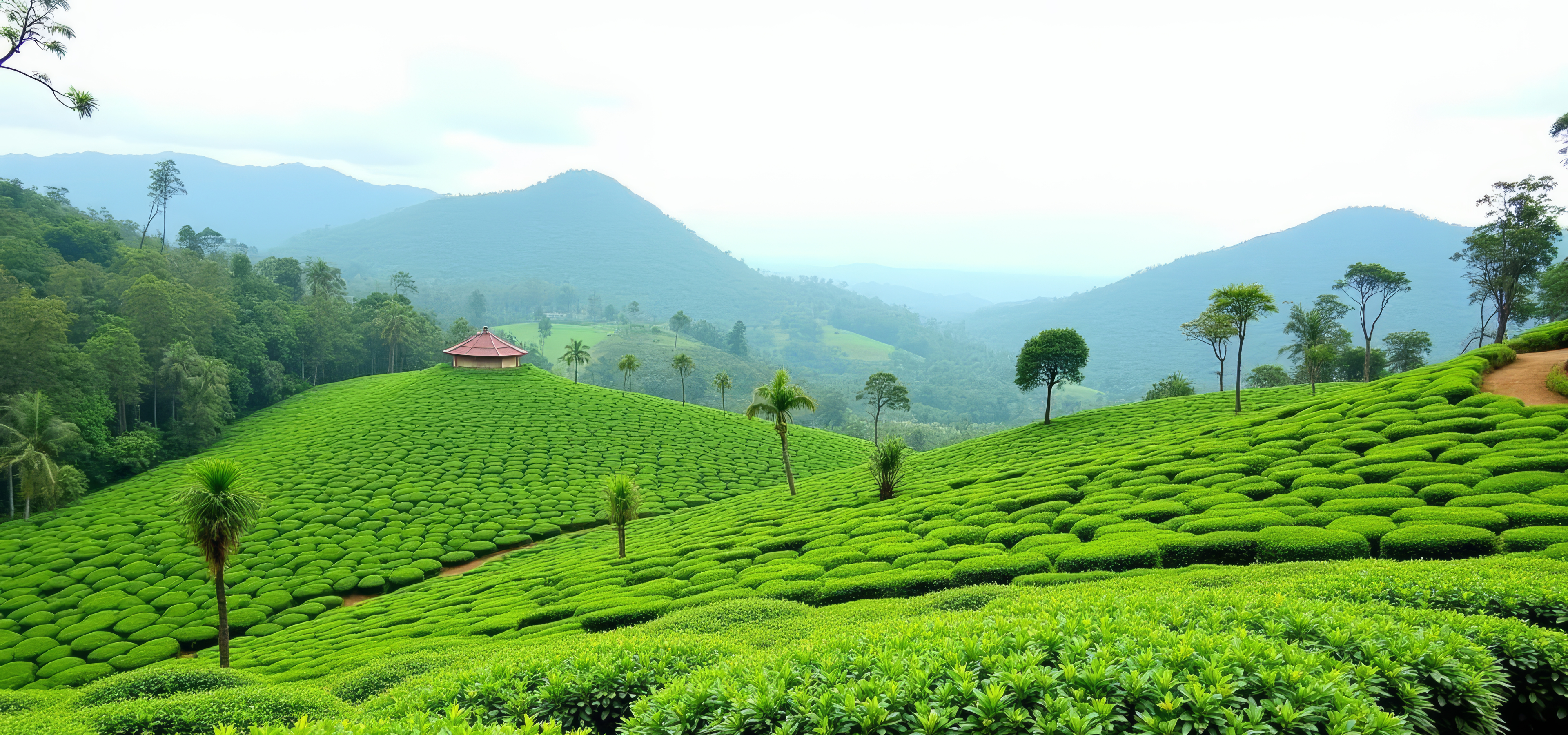 slider image 1621243260e1af0c20-2